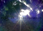 Rise of Consciousness